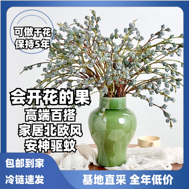 尤加利果（1单中通·2单顺丰）