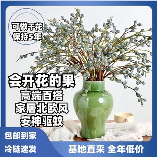 尤加利果 2单中通·3单顺丰