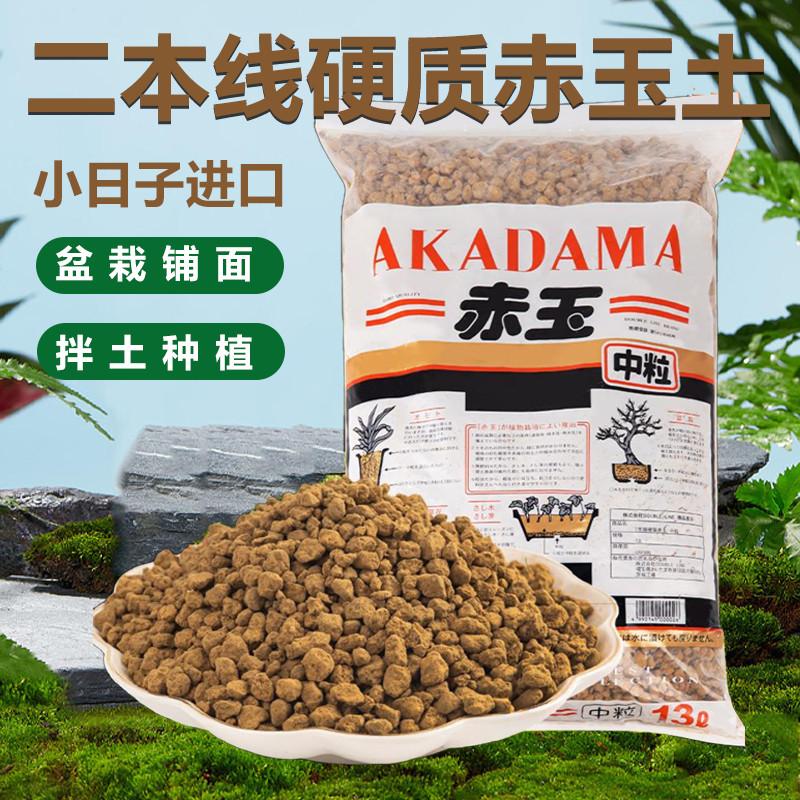 日本进口二本线赤玉土多肉盆景盆栽花卉栽培种植园艺火山土微景观
