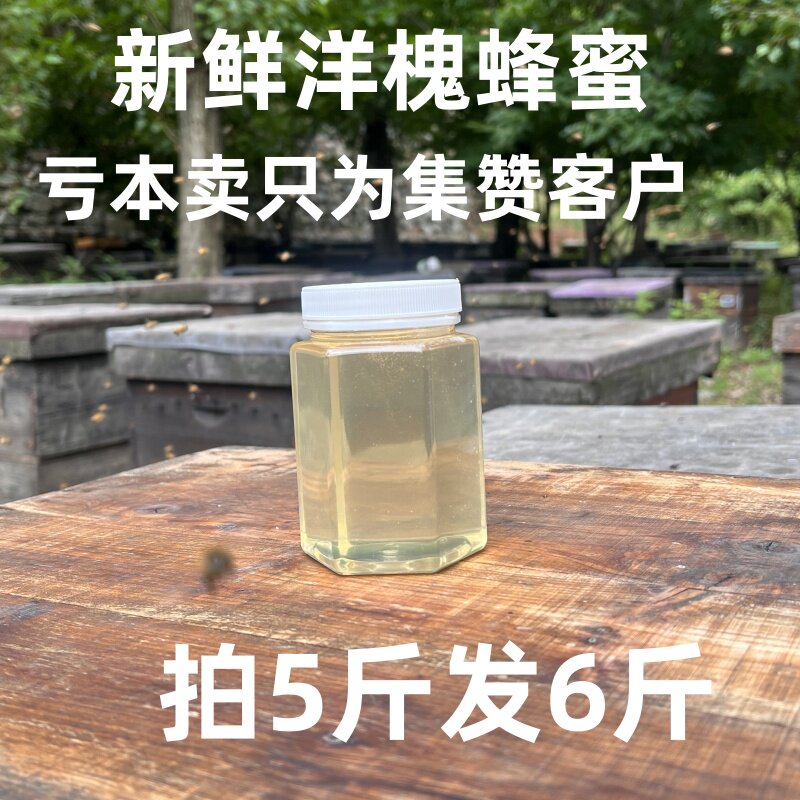 自家蜂场2025延安洋槐蜂蜜正品纯正天然成熟原蜜500克