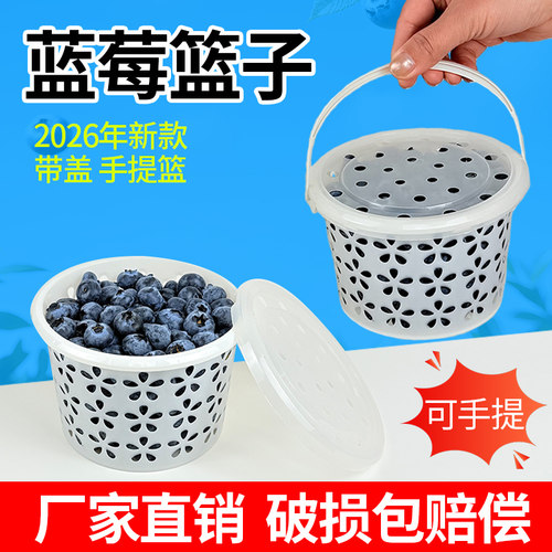 塑料白色小圆篮樱桃蓝莓篮子1斤2斤带盖手提收纳采摘小圆桶包装篮