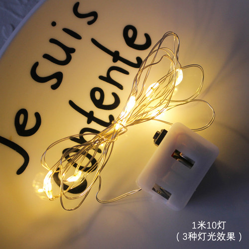 LED小彩灯串灯鲜花羽毛装饰