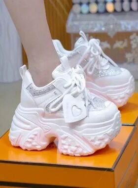 Dad Shoes Women's 2025 Spring and Autumn New Sponge Cake Spo