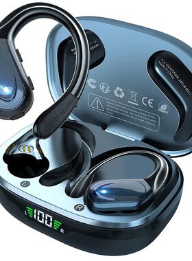 Bluetooth 5.3 Earphones True Wireless Headphones with Mic Bu