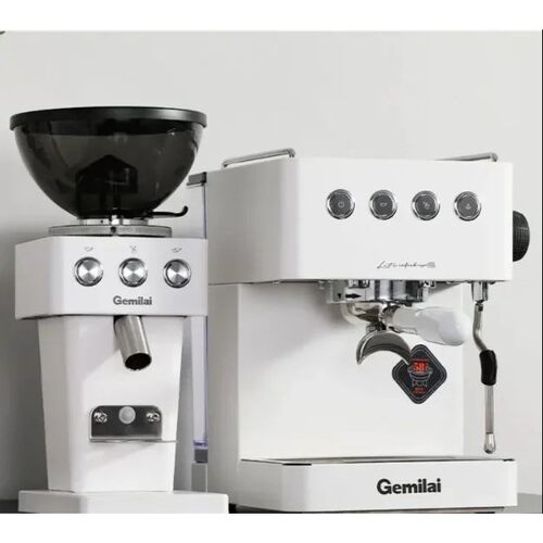220V Gemini Home Coffee Machine Semi Automatic Office Small