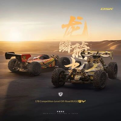 In Stock DSK RC Buggy 1 8 Scale 4WD Brushless Electric High