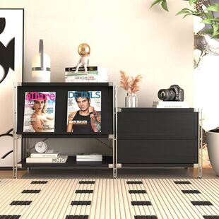 多功能黑色翻门杂志柜艺术豪斯翻门柜北欧客厅入户收纳日式落地架