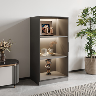 靠墙落地矮柜玻璃展示柜家用书柜防尘柜子矮柜组合书柜客厅储物