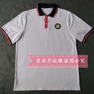 上衣纯棉宽松短袖 河北廊坊六中短袖 t恤polo衫 校服同款 夏季