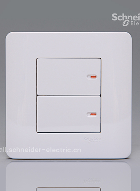 施耐德E8000 ZENcelo轻点 16A 250V双联单控开关两位单控（经典白