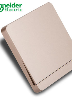 施耐德开关插座 绎尚薄暮金  16AX 250V 单联单控 单联双控开关,