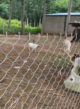 镀锌铁丝网菱形格勾花网户外养殖羊牛猪钢丝网果园围栏防护网栅栏