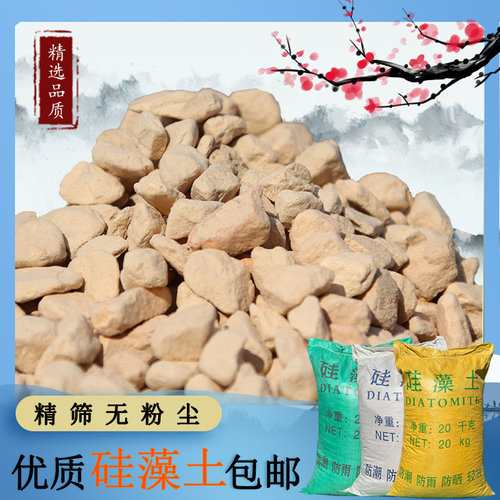 园艺多肉颗粒植物硅藻土