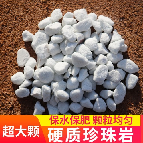 硬质珍珠岩颗粒大粉末园艺兰花