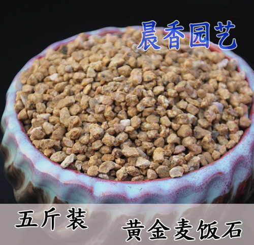黄金软多肉植物麦饭石颗粒包邮