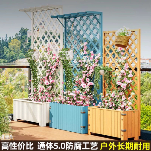 户外网格花架爬藤花架