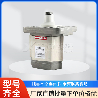 法国HPI齿轮泵P3BAN3025HL10B03N/C5082715可替代