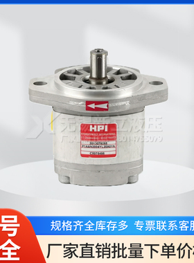 法国HPI齿轮泵P1AAN2004YL20A01N C5075498