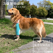 居家狗狗拉布拉多萨摩耶护关节护肘服图纸护肘袖 套防磨护膝盖纸样