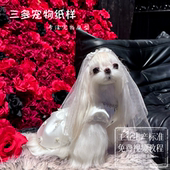 宠物猫狗婚纱纸样宠物结婚礼服图纸泰迪比熊猫咪春秋公主裙模板
