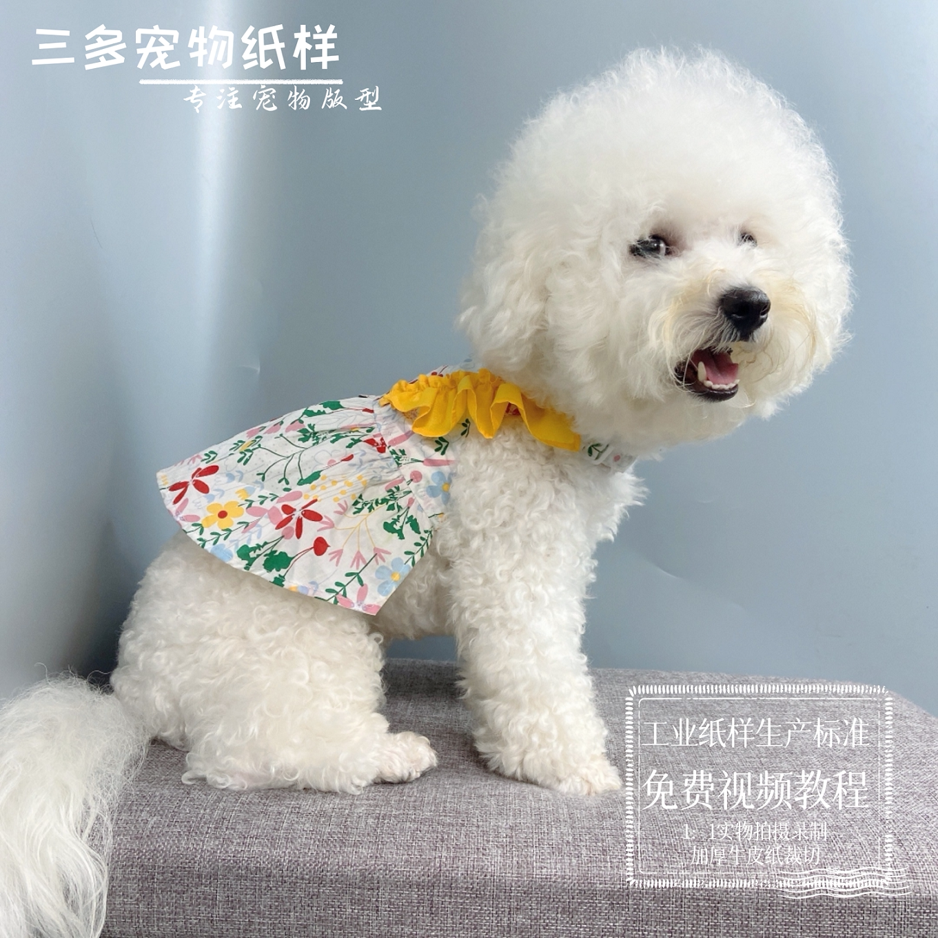 宠物衣服纸样夏季狗狗公主裙图纸雪纳瑞泰迪短款连衣裙模版样版