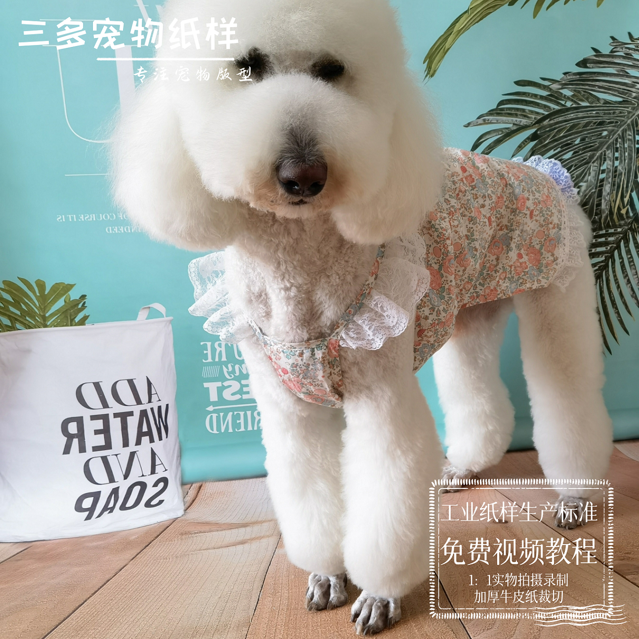 狗狗夏季吊带纸样比熊泰迪博美法斗巨贵宠物夏天衣服背心图纸模板,宠物/宠物食品及用品,猫宠物服装/雨衣（新）,淘宝优惠券,粉丝福利购,淘宝优惠卷