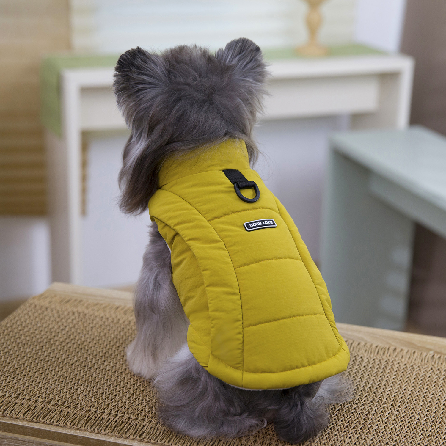 狗狗棉衣秋冬加厚保暖马甲背心宠物服装棉袄比熊泰迪小鹿犬冬天