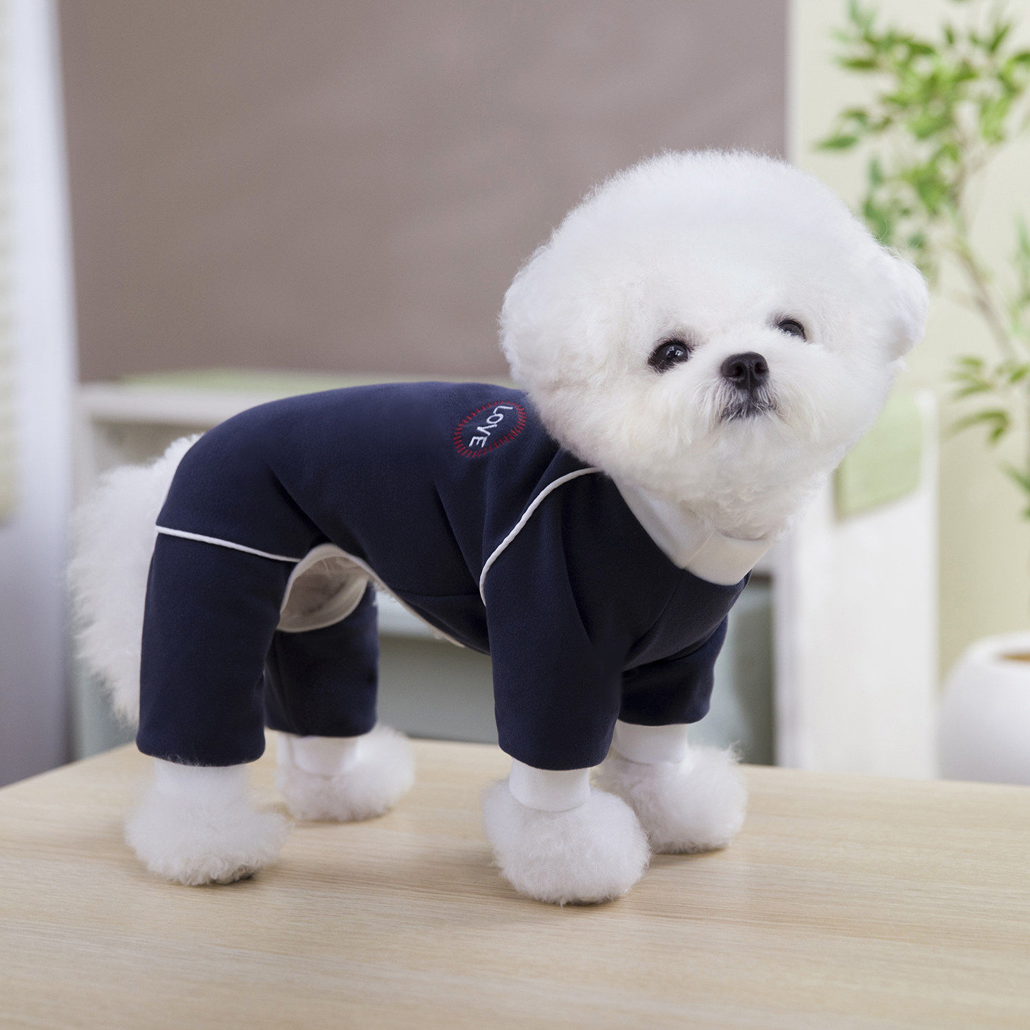 狗狗衣服春秋冬加厚保暖马甲背心宠物服装棉衣比熊泰迪小鹿犬幼犬