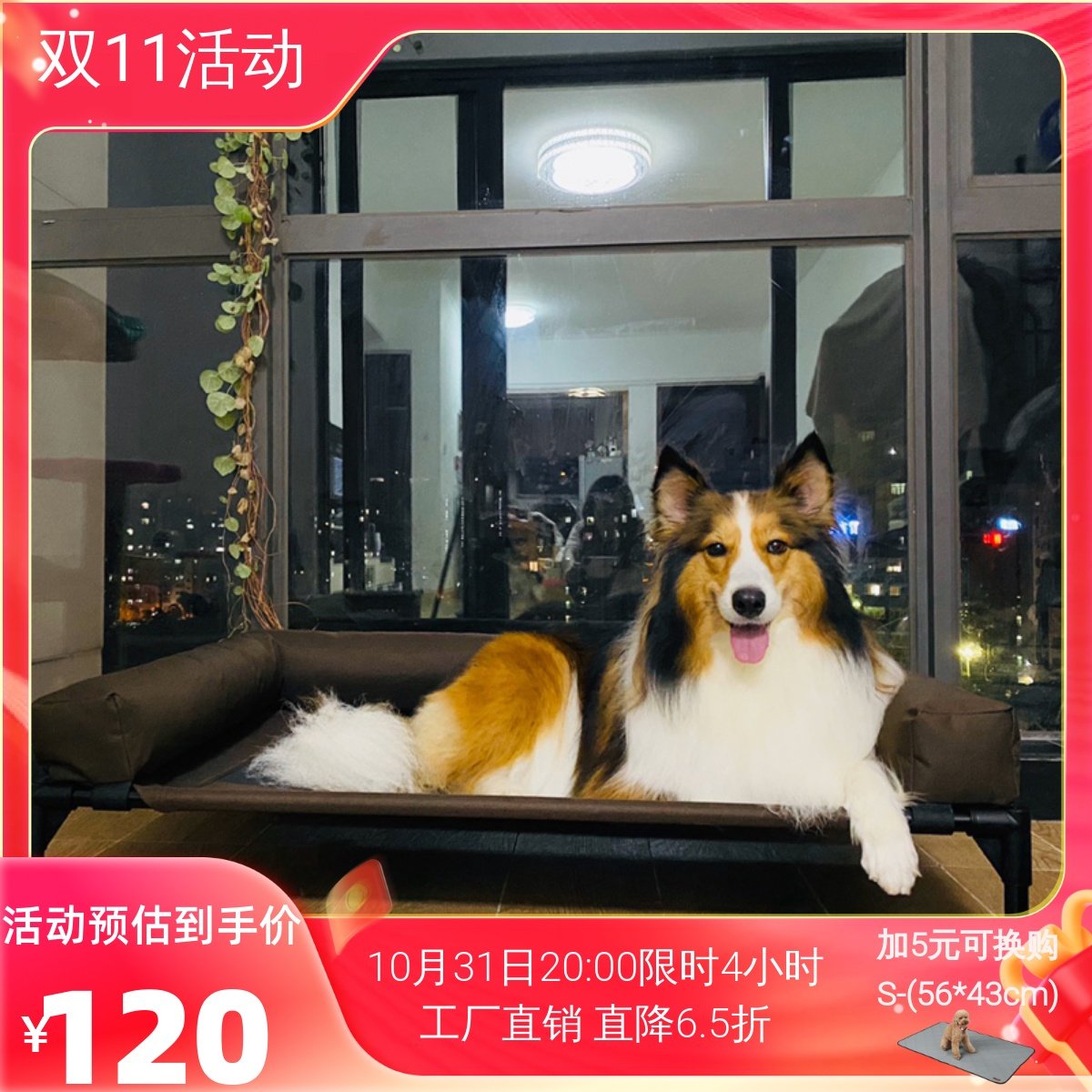 宠物行军床可拆洗金毛防潮带围边狗窝KH夏大型犬猫窝铁艺狗床离地