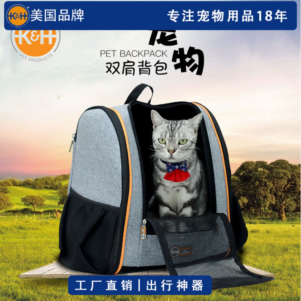 手提外出便携猫包宠物双肩包