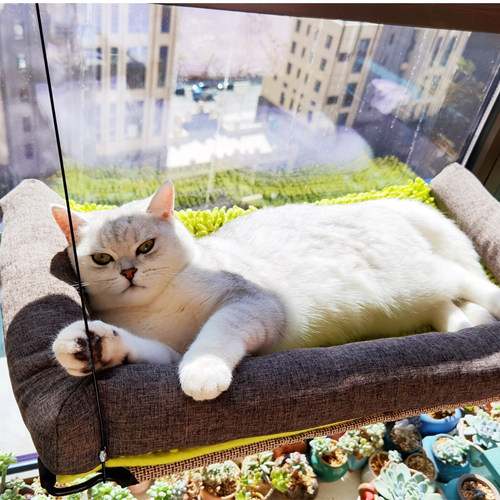 四季通用窗户秋千猫吊床晒太阳