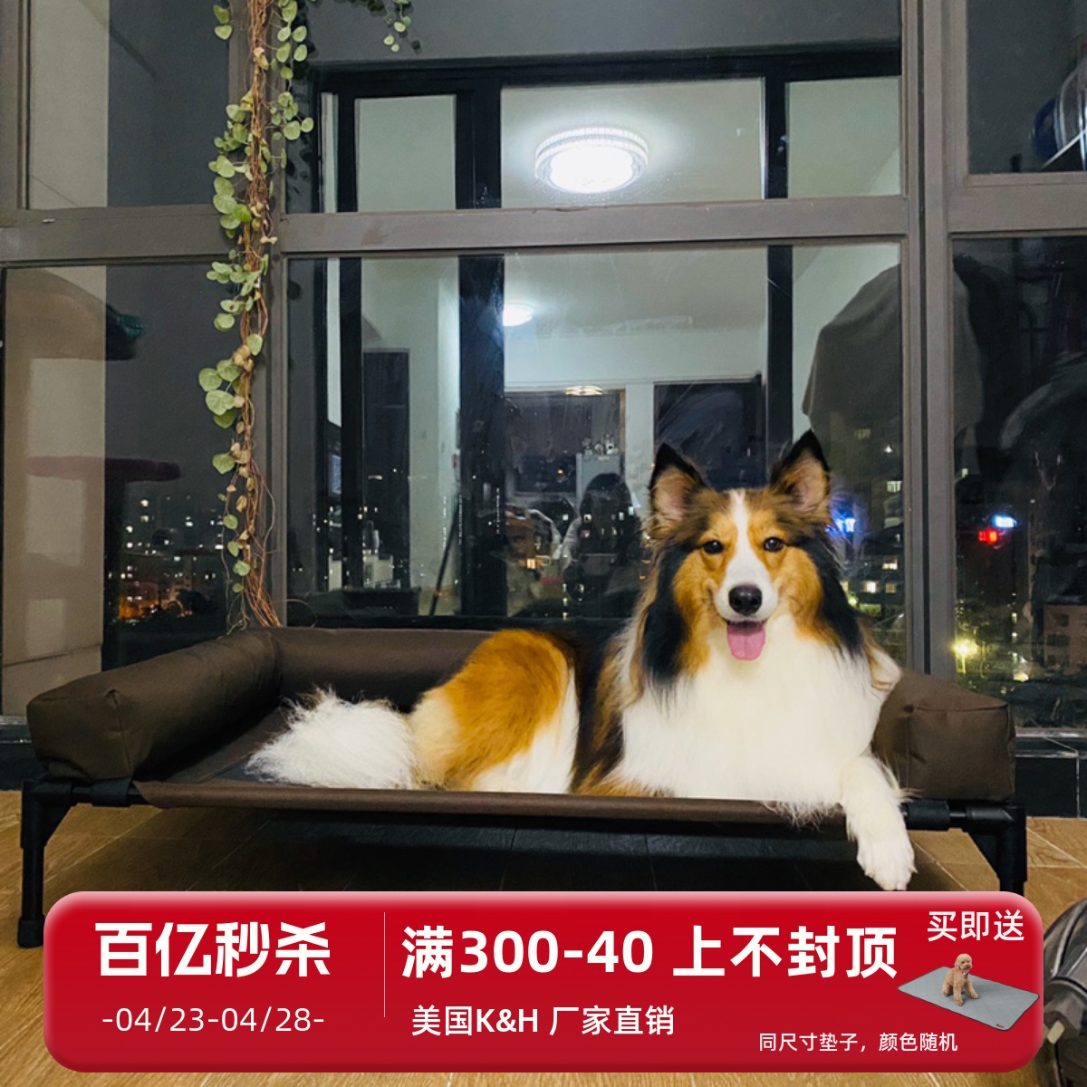 可拆洗围边大型犬铁艺离地狗窝