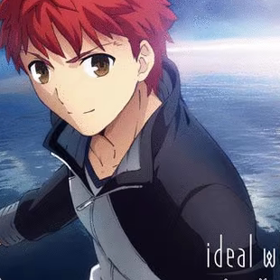 fate/stay night 卫宫士郎 cosplay服装