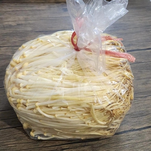 农家自种老品种黄色金针菇老式 黄顶菇非工厂化黄金针菇 金针菇长款