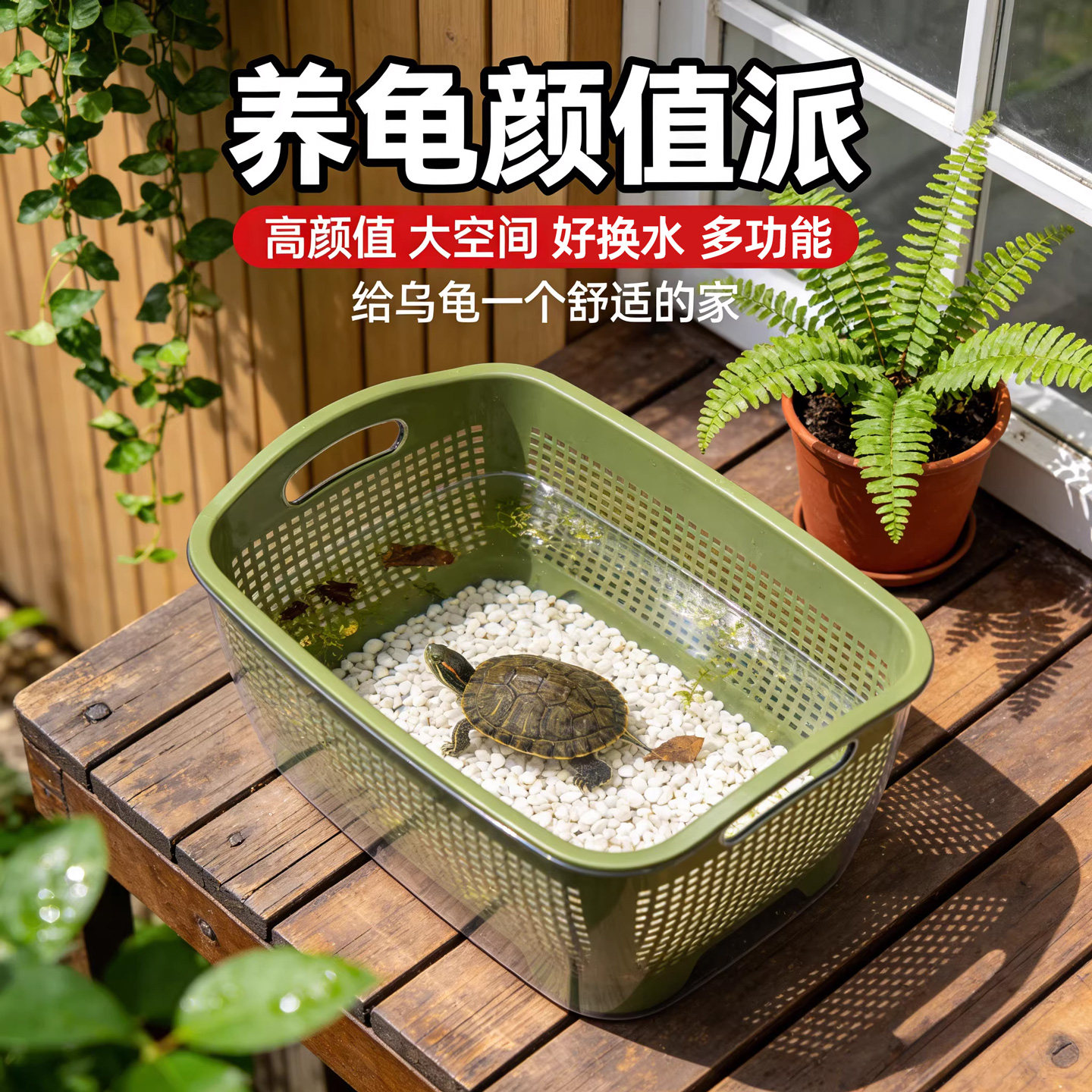 乌龟周转箱家用过滤造景塑料养龟饲养缸透明生态箱生物养殖箱子