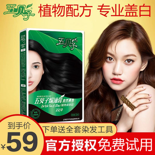五贝子植物染发剂官方旗舰店焗油膏总店纯黑色正品专用不沾头皮