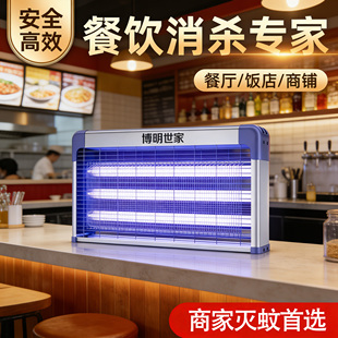 灭蚊灯2026新款灭蝇灯餐厅饭店商铺室内用强力苍蝇捕捉器驱蚊神器