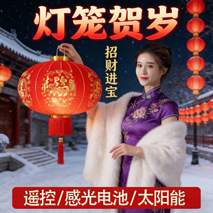 马年灯笼大门口一对2026新款喜庆红灯笼挂饰春节中国风阳台免插电