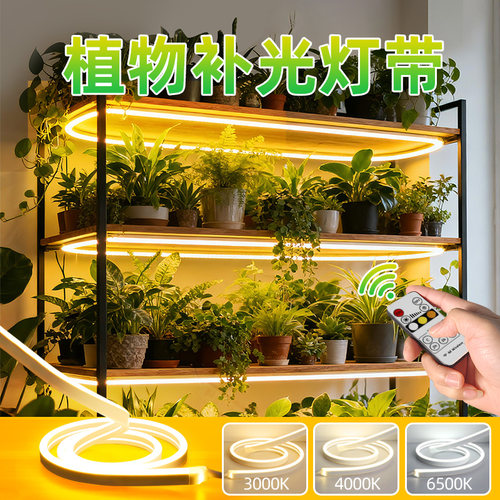 室内遥控定时植物生长灯带