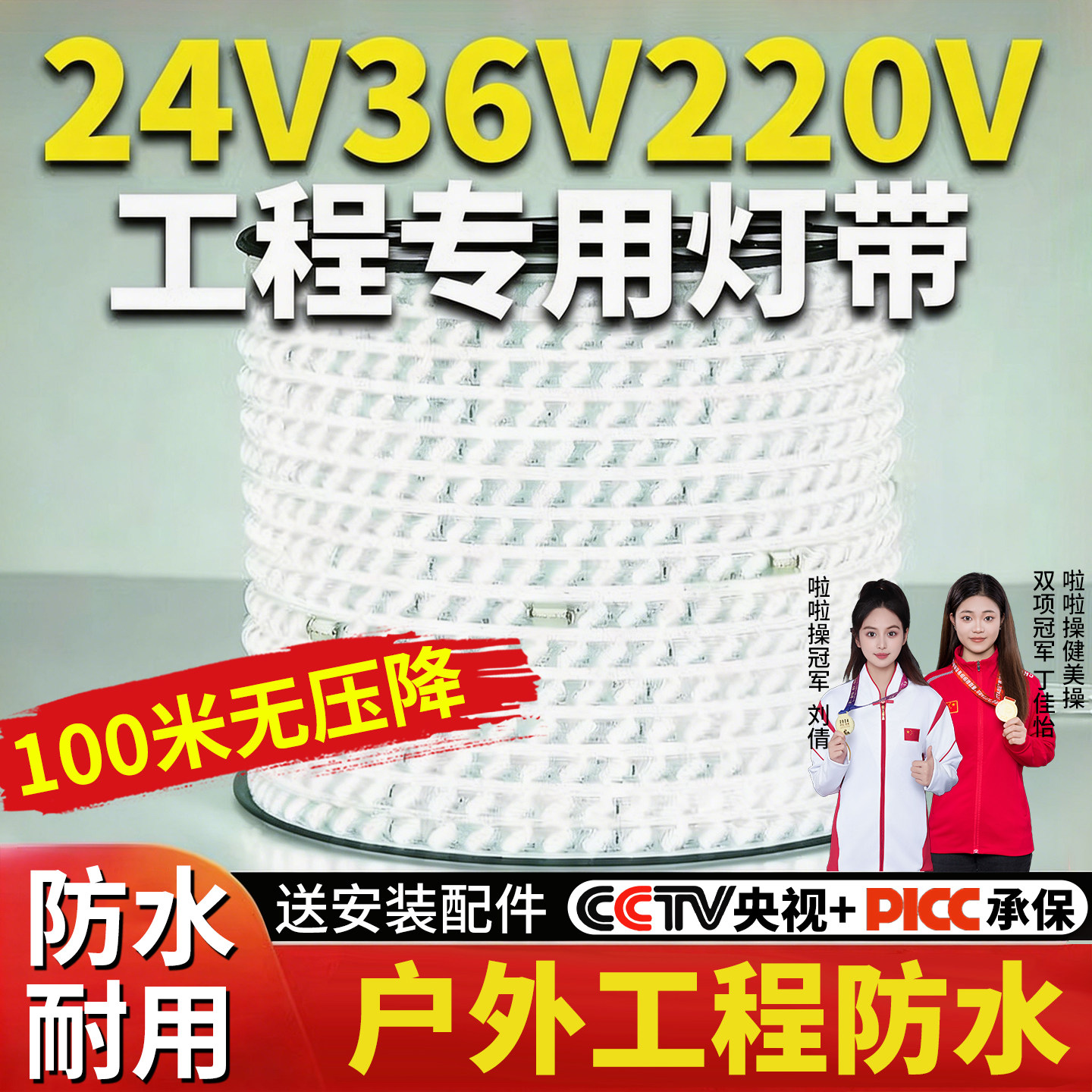 24v低压灯带防水超亮led白光36v室外工地下室隧道养殖场照明灯条