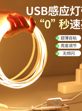 免布线自粘人体感应灯带玄关鞋柜悬浮床下起夜led氛围灯条usb插电