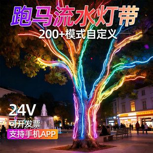 2026新款24V幻彩绕树灯带音乐律动户外防水工程亮化跑马灯氛围灯