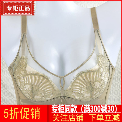 六月玫瑰软钢圈100%棉聚拢中厚杯