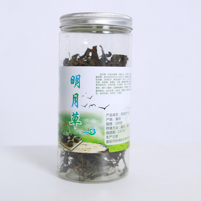 金鸡毛草明月草干叶鲜叶神奇救命草白子菜鸡菜白背三七种苗包邮