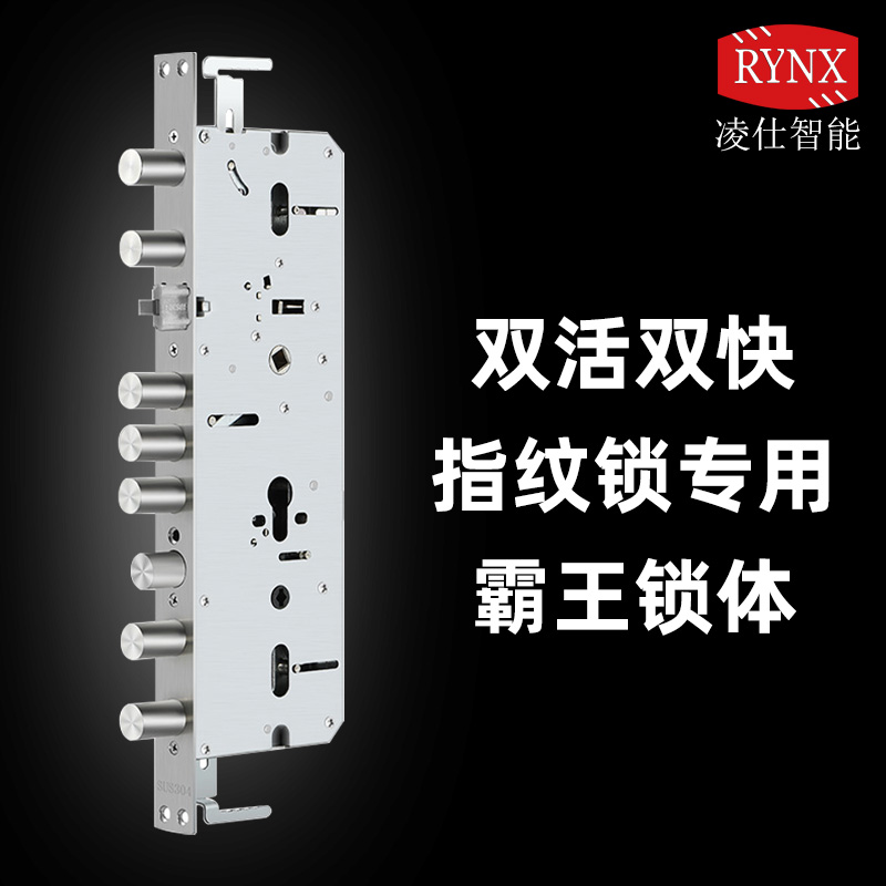 指纹锁电子锁专用霸王锁体