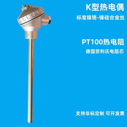PT00铂热电阻WZP-120/130/131不锈钢测温棒退火炉探头温度传感器 - 封面