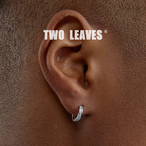 TWOLEAVES925纯银单排镶钻耳环