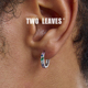 TWO LEAVES S925纯银不规则彩钻耳环潮流高级感轻奢百搭男女耳扣