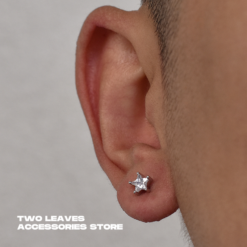 TWOLEAVESS925银五角星锆石耳钉