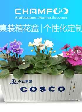 中远COSCO集装箱花盆|白色集装箱|植物集装箱盆栽|创意花盆